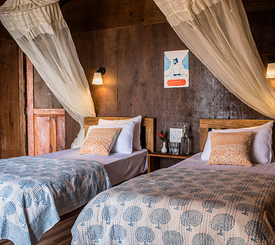 Yoga Retreat in Goa January 2025