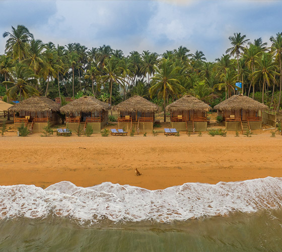 Yoga Retreat in Goa January 2025